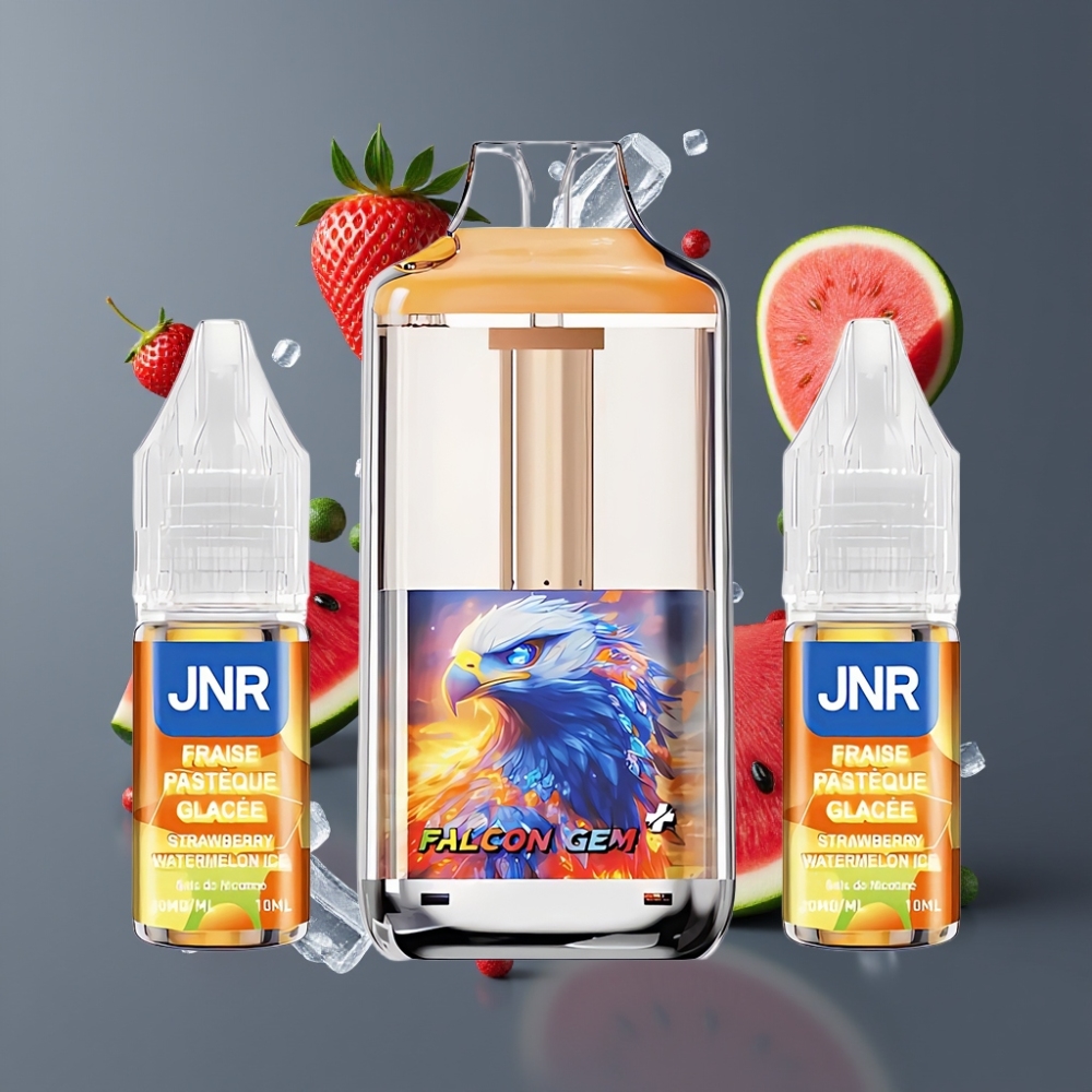 JNR Falcon GEM⁺ 30000 Puffs France grossiste Rechargeable Pod Vape avec Réservoir Visible, 950mAh, Double Mesh Coil et Fraise Pastèque Glacée