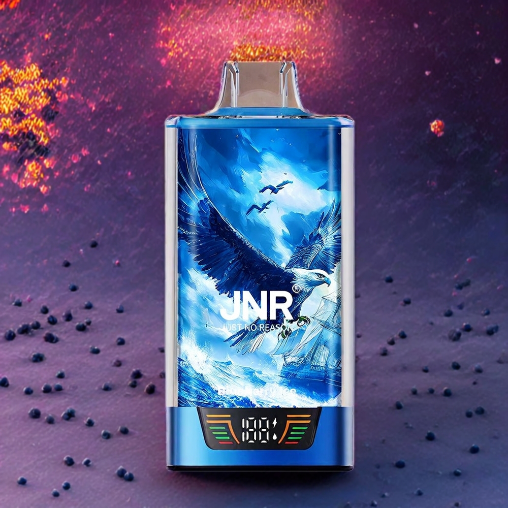JNR Falcon Pro 28000 France Grossiste - 28000 Puffs, 30ml E-liquide, ﾨﾦcran Intelligent, Double Mesh Coil, Batterie 950 mAh, Port Type-C, Myrtille Glacﾨﾦe
