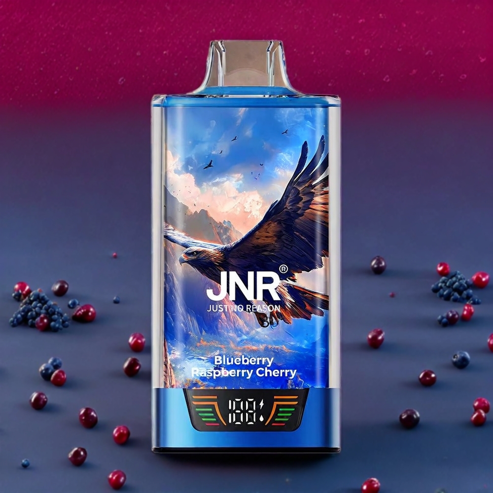 JNR Falcon Pro 28000 France Grossiste - ﾨﾦcran Intelligent, Double Mesh, 950 mAh, Type-C, Myrtille Framboise Cerise