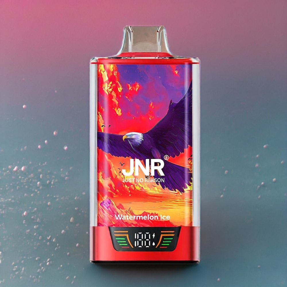 JNR Falcon Pro 28000 France Grossiste - ﾨﾦcran Intelligent, Double Mesh Coil, 950 mAh, Type-C, Pastﾨﾨque Glacﾨﾦe