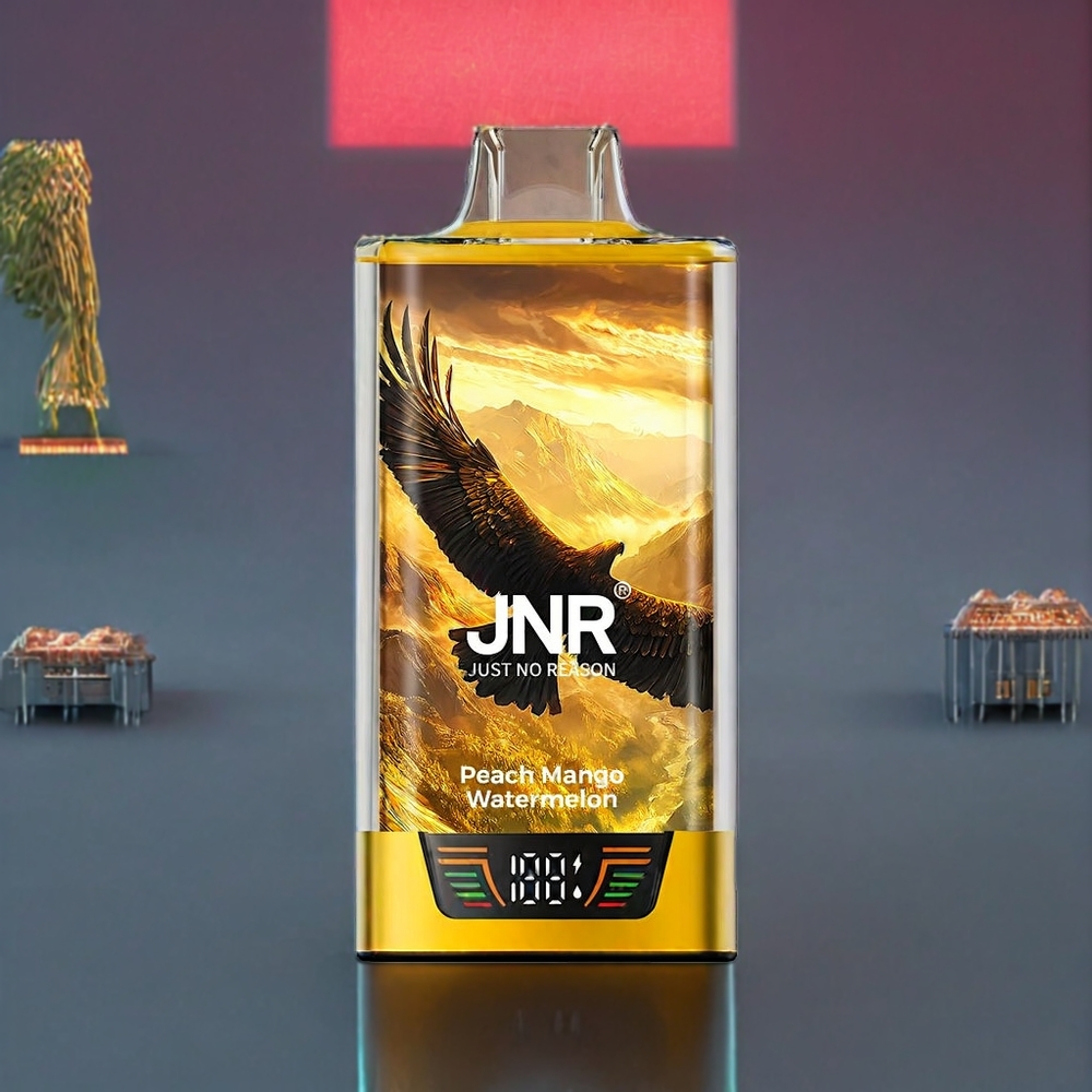 JNR Falcon Pro 28000 France grossiste - ﾨﾦcran Intelligent, Double Mesh Coil, 950 mAh - Pﾨﾺche Mangue Pastﾨﾨque