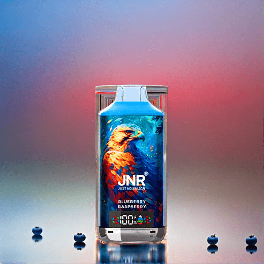 JNR Falcon X 18000 Puffs France Grosiste - Affichage numérique, bobine à double filet, charge de type C, 750mAh, 24ml - Myrtille Framboisese