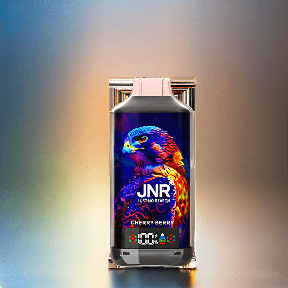 Jnr Falcon X 18000 Puffs France Grosiste Affichage Numérique et charge Rapide Type-C - CERIRIS Baie