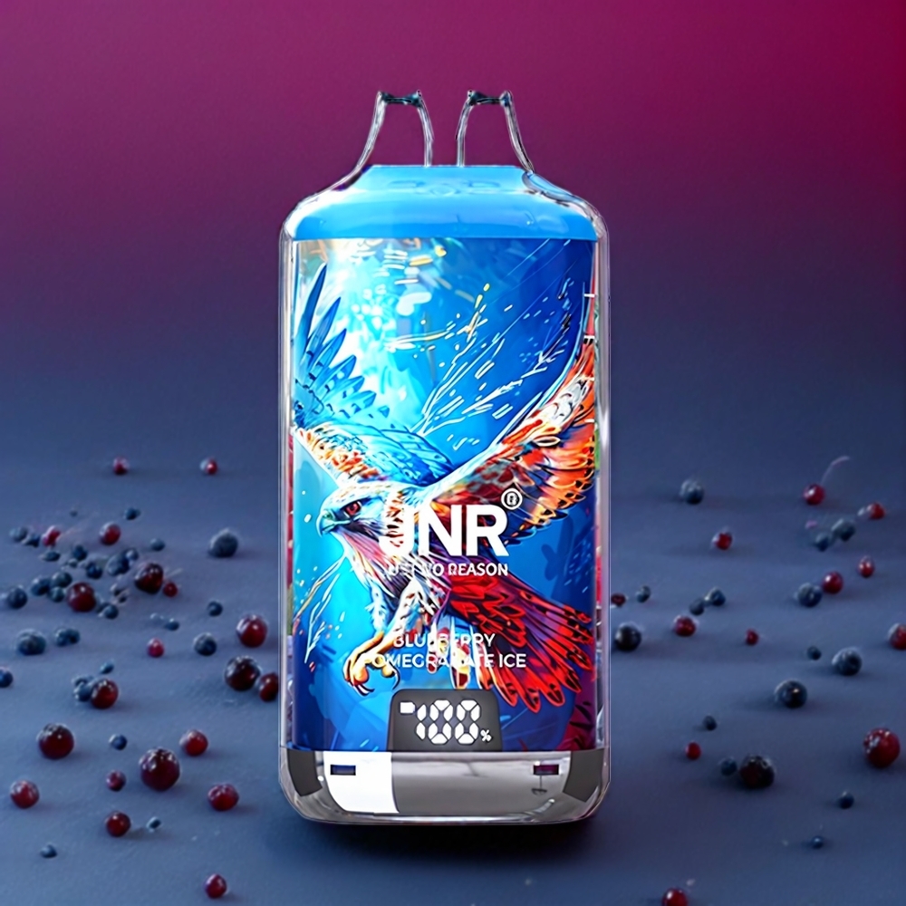 JNR Falcon X? 28000 France grossiste - Niveau de E-Liquide Visible, Rechargeable, 1.2ﾦﾸ Double Mesh, Myrtille Grenade Glace