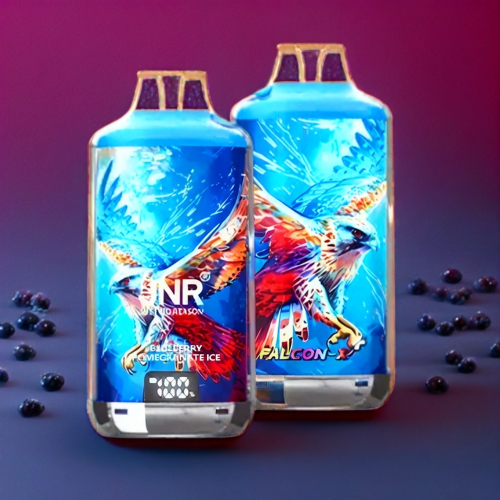 JNR Falcon X? 28000 France grossiste - Niveau de E-Liquide Visible, Rechargeable, 1.2ﾦﾸ Double Mesh, Myrtille Grenade Glace