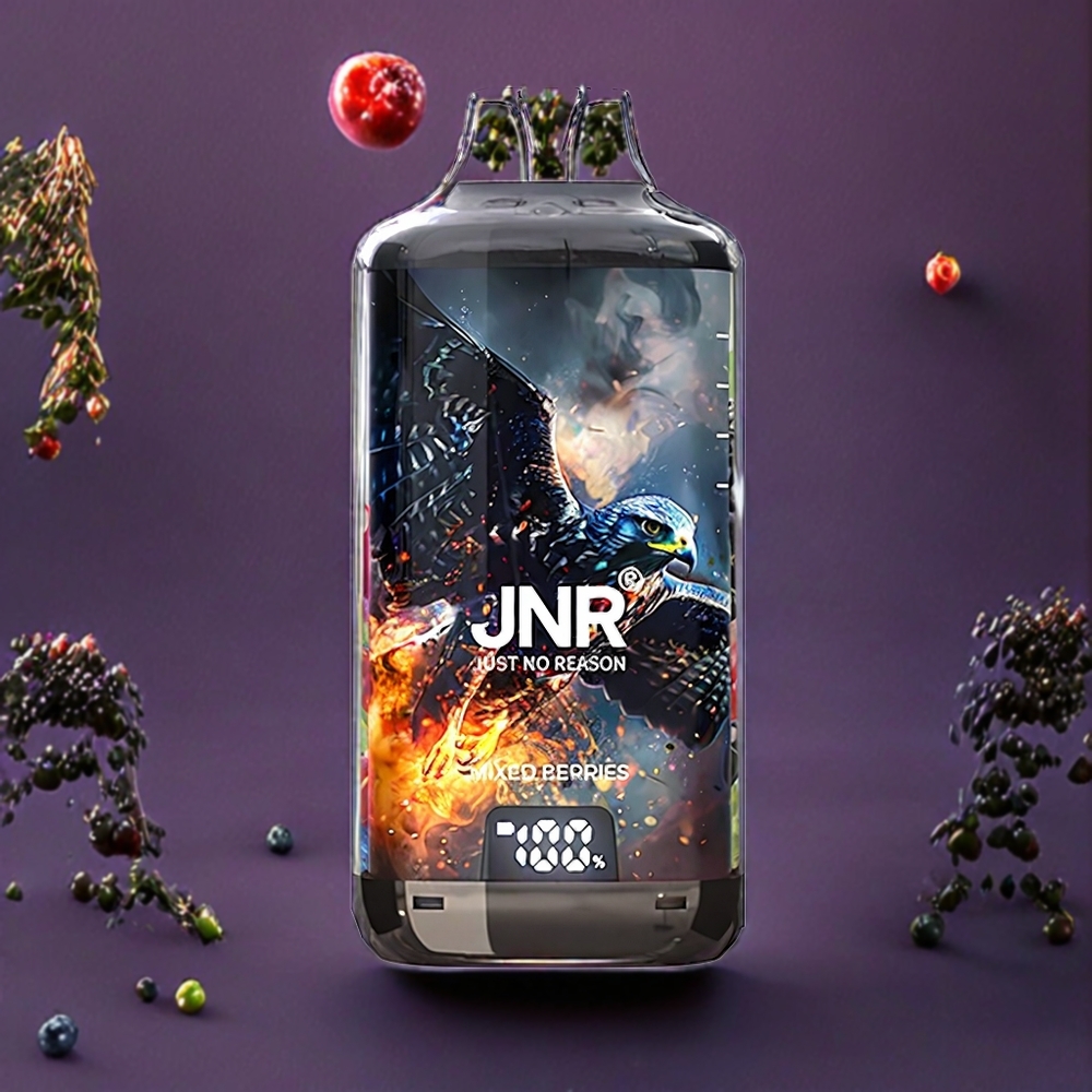 JNR Falcon X? 28000 France grossiste - Niveaux de E-Liquide Visibles, Rechargeable, 2 10ml Baies Mixtes, 1.2ﾦﾸ Double Mesh
