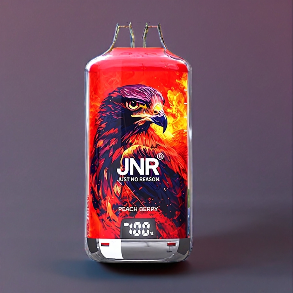 JNR Falcon X? 28000 France grossiste avec Niveau de E-Liquide Visible, Rechargeable par le Dessus, ﾨﾦcran d'Indicateur de Batterie, Pﾨﾺche Baie