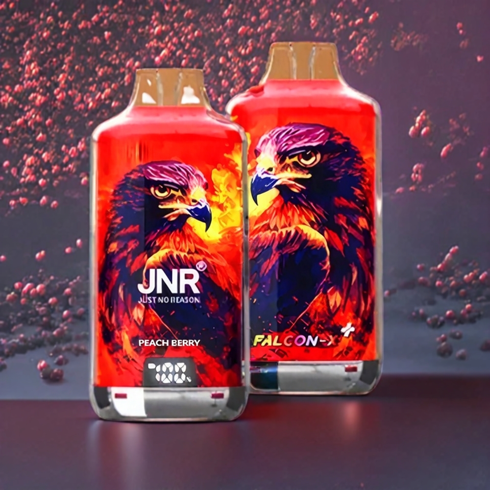 JNR Falcon X? 28000 France grossiste avec Niveau de E-Liquide Visible, Rechargeable par le Dessus, ﾨﾦcran d'Indicateur de Batterie, Pﾨﾺche Baie