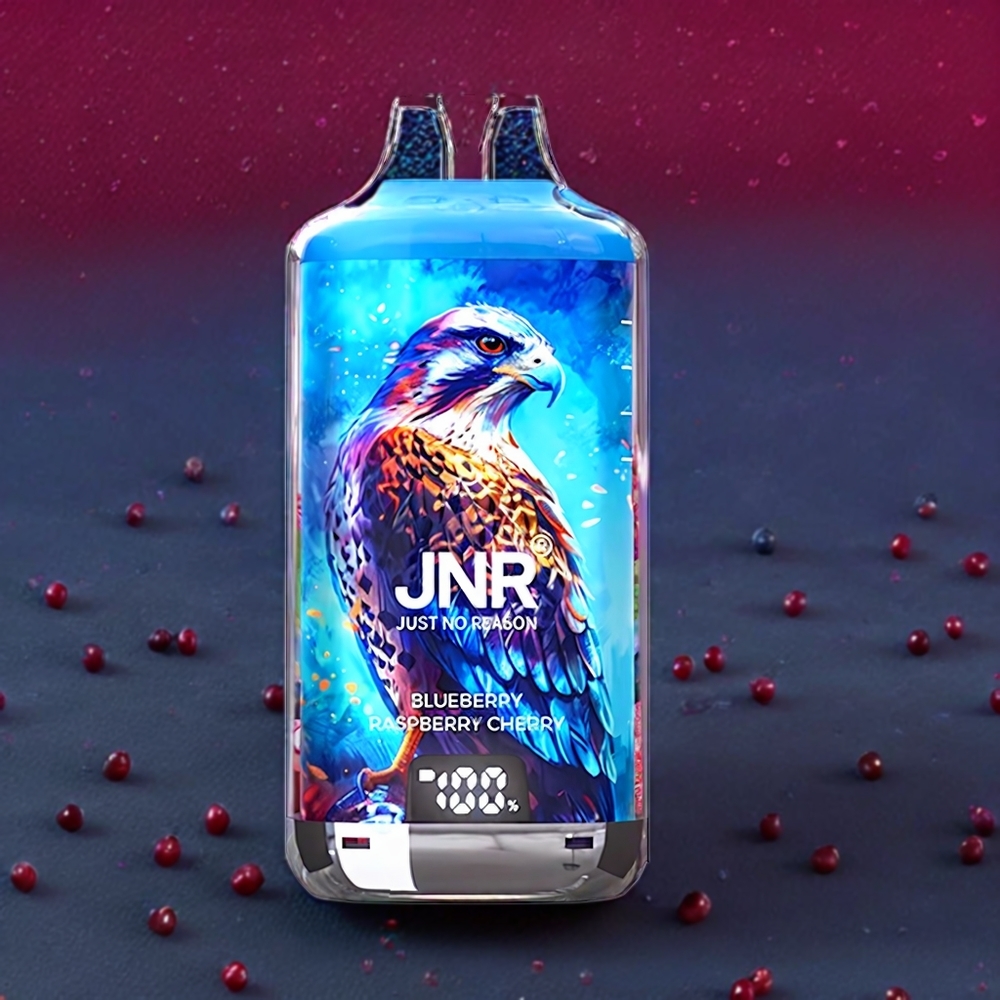 JNR Falcon X? 28000 France grossiste avec Niveaux de Liquide Visibles, Rechargeable, Batterie 950mAh, Port Type-C et Saveurs Myrtille Framboise Cerise