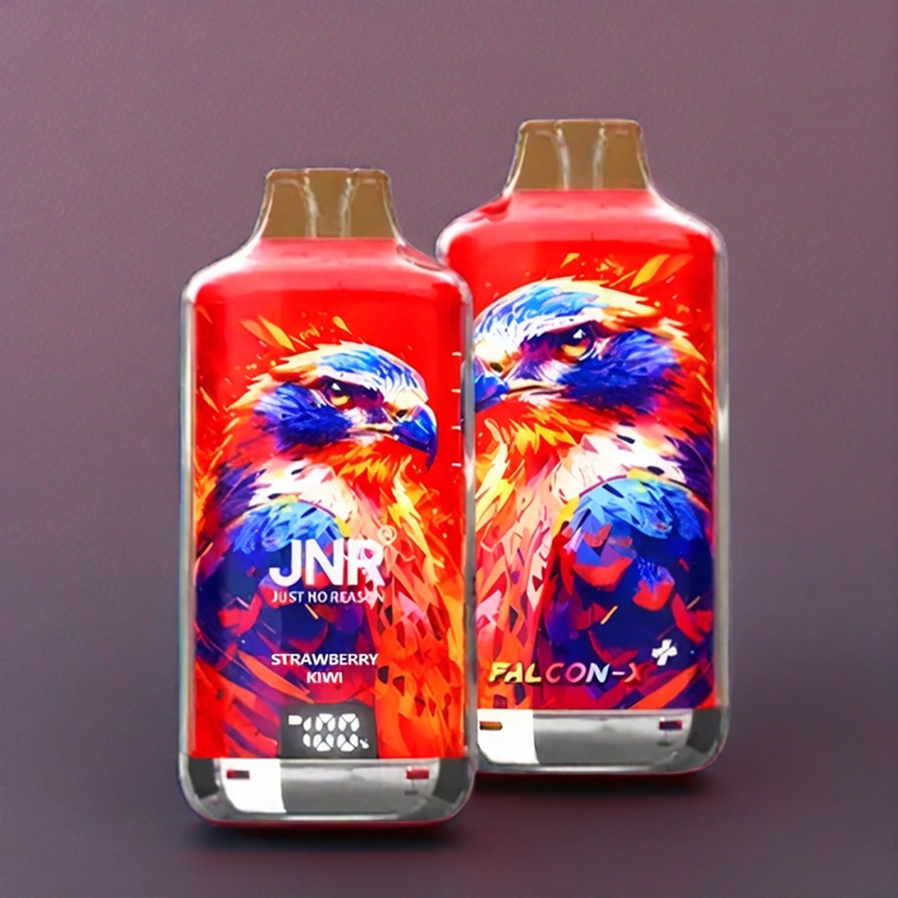 JNR Falcon X? 28000 France grossiste avec niveaux de liquide visibles, batterie 950mAh, recharge par Type-C et Fraise Kiwi