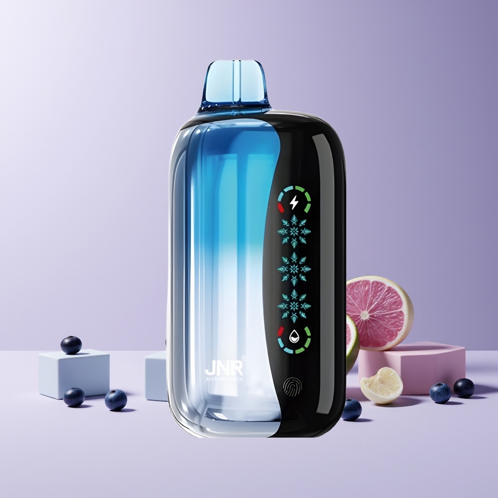 JNR Flex Ice 21000 Puffs France grossiste - Glace Myrtille, 26ml, Airflow Réglable, Écran Tactile, 1.2 Ohm Dual Mesh