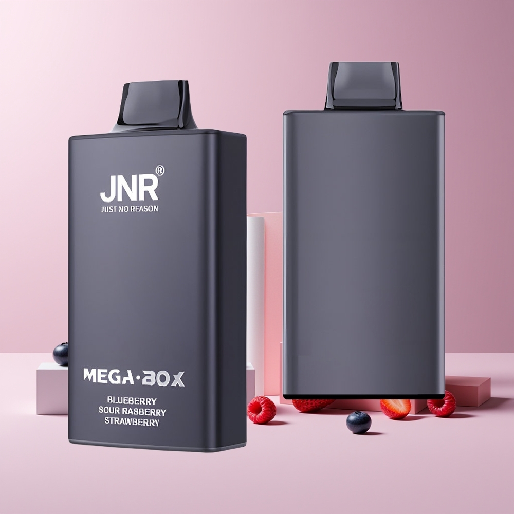 JNR Mega Box 25000 Puffs France Grossiste - 30ml E-Liquide, Batterie 850mAh, Charge Rapide Type-C, Myrtille Framboise Aigre Fraise