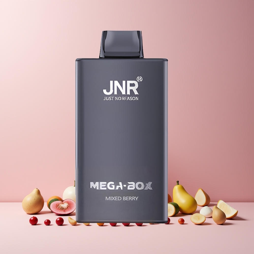 JNR Mega Box 25000 Puffs France Grossiste - Disposable Vape avec 30ml de E-liquide, Batterie 850mah, Charge Rapide Type-C et Baies Mixtes