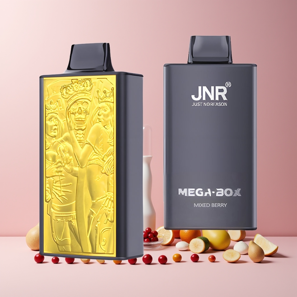 JNR Mega Box 25000 Puffs France Grossiste - Disposable Vape avec 30ml de E-liquide, Batterie 850mah, Charge Rapide Type-C et Baies Mixtes