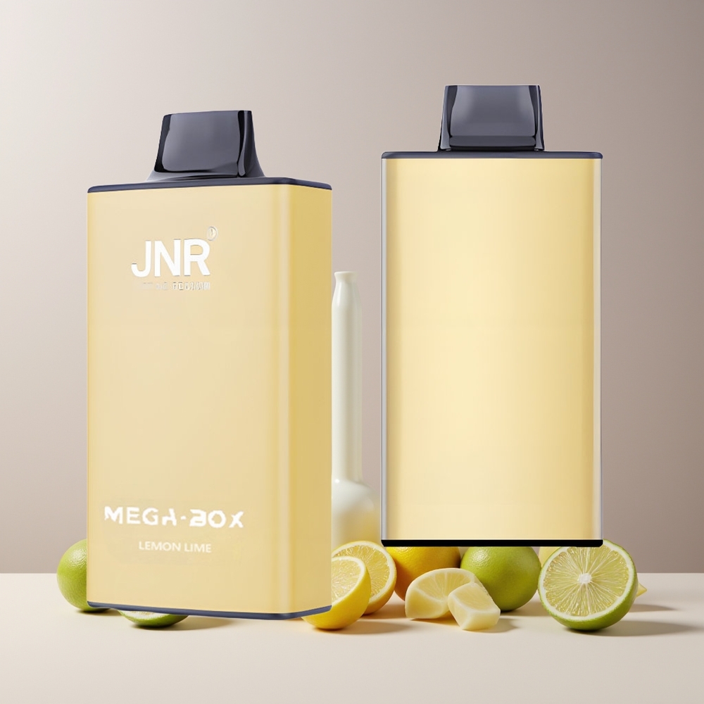 JNR Mega Box 25000 Puffs France Grossiste - E-Liquide 30ml, Batterie 850mAh, Double Mesh Coil, Charge Rapide Type-C, Citron & Citron Vert