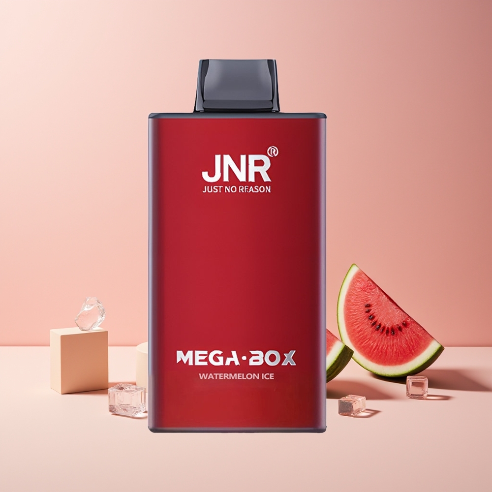 JNR Mega Box 25000 Puffs France Grossiste - E-liquide 30ml, Batterie 850mAh, Charge Rapide Type-C, Glace Pastèque