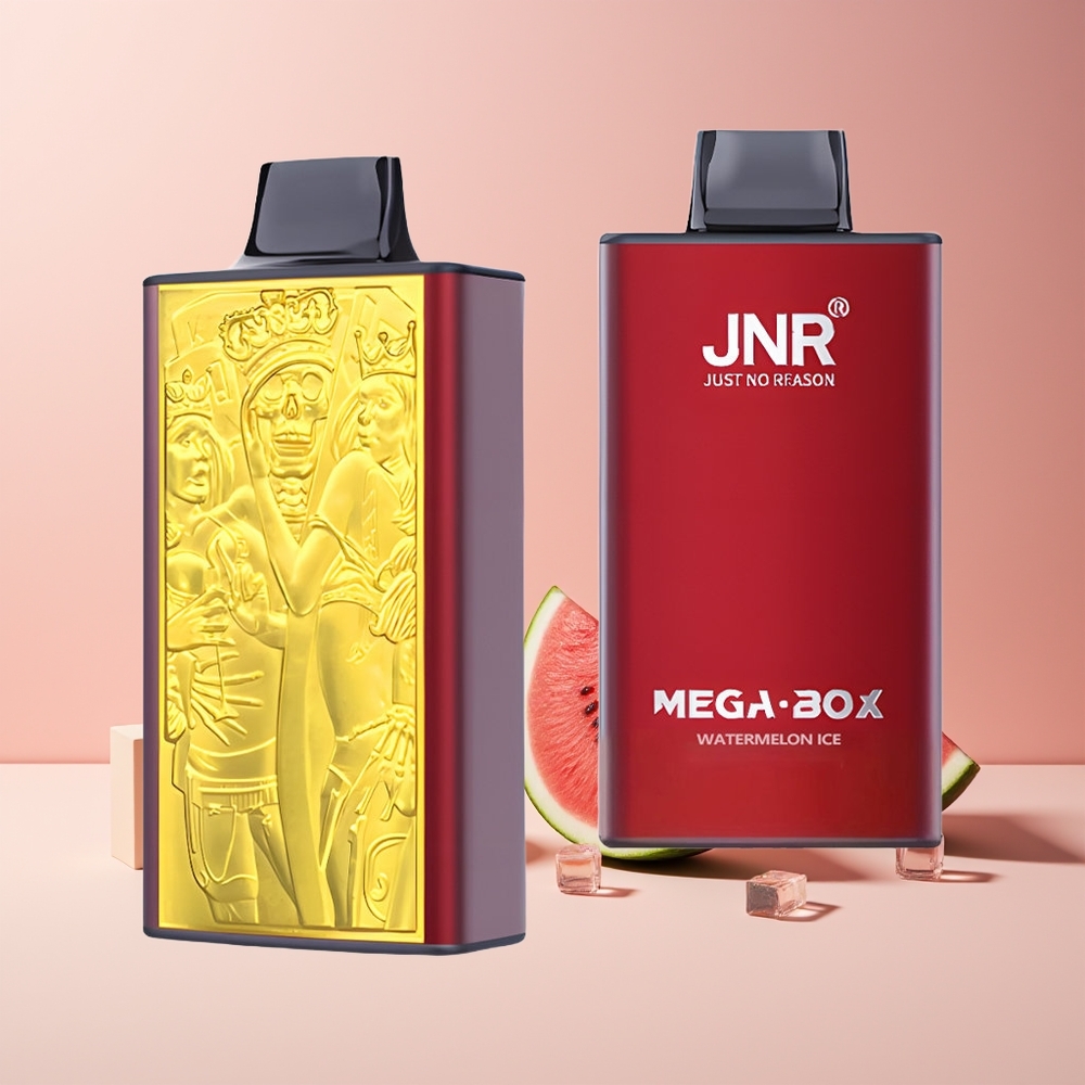 JNR Mega Box 25000 Puffs France Grossiste - E-liquide 30ml, Batterie 850mAh, Charge Rapide Type-C, Glace Pastèque