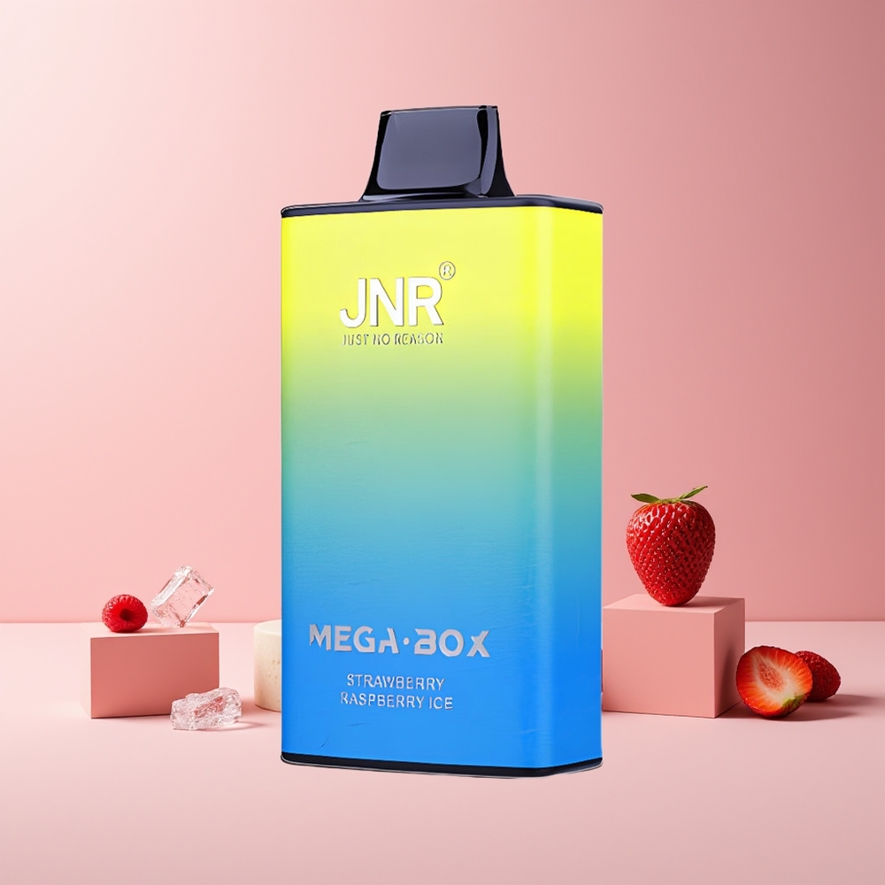 JNR Mega Box 25000 Puffs France grossiste - E-liquide 30ml, Batterie 850mAh, Double Mesh Coil, Charge Rapide Type-C, Fraise Framboise Glace