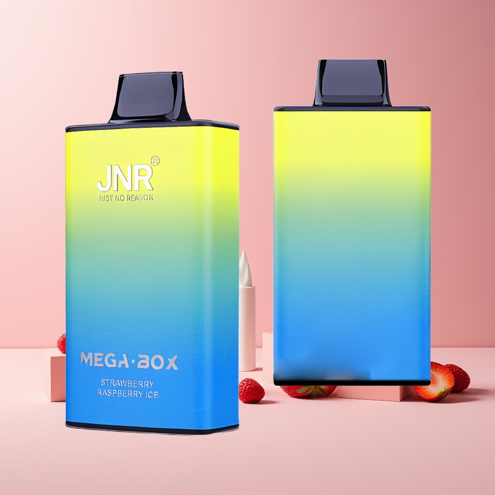 JNR Mega Box 25000 Puffs France grossiste - E-liquide 30ml, Batterie 850mAh, Double Mesh Coil, Charge Rapide Type-C, Fraise Framboise Glace