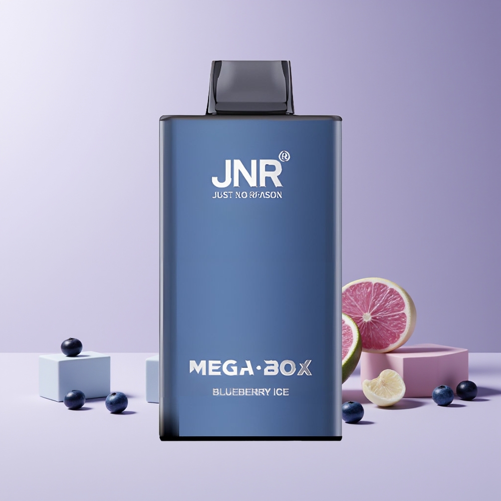 JNR Mega Box 25000 Puffs France grossiste - E-liquide 30ml, Batterie 850mAh, Double Mesh Coil, Charge Rapide Type-C, Glace Myrtille