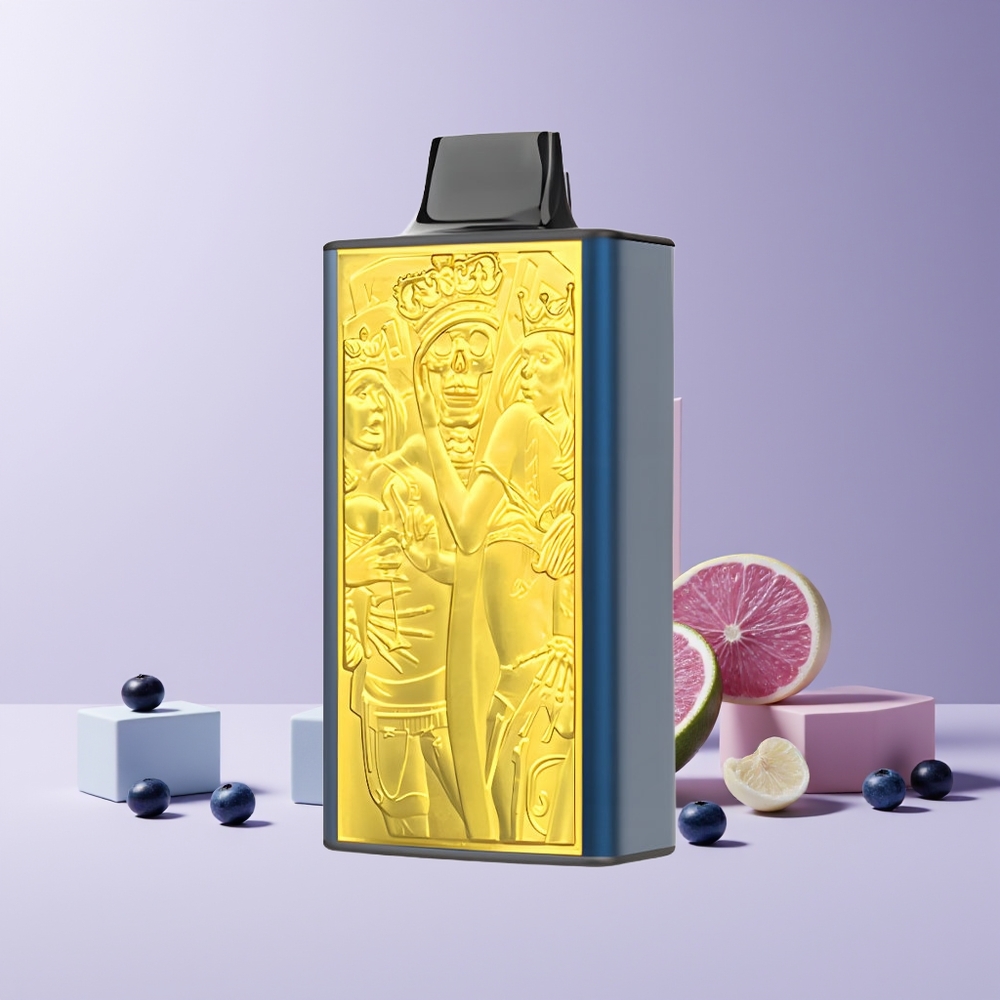 JNR Mega Box 25000 Puffs France grossiste - E-liquide 30ml, Batterie 850mAh, Double Mesh Coil, Charge Rapide Type-C, Glace Myrtille