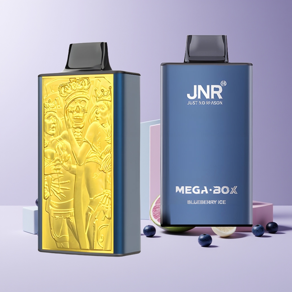 JNR Mega Box 25000 Puffs France grossiste - E-liquide 30ml, Batterie 850mAh, Double Mesh Coil, Charge Rapide Type-C, Glace Myrtille