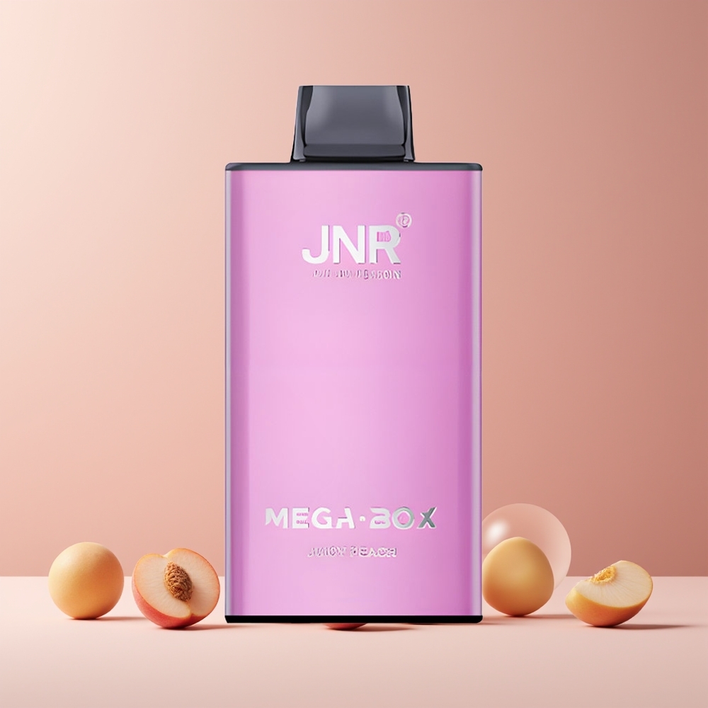 JNR Mega Box 25000 Puffs France grossiste - Pêche Juteuse, 30ml, Double Mesh, Charge Rapide Type-C