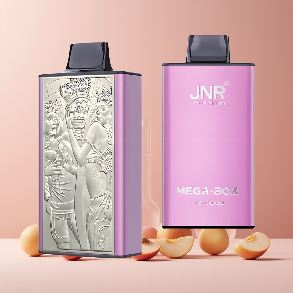JNR Mega Box 25000 Puffs France grossiste - Pêche Juteuse, 30ml, Double Mesh, Charge Rapide Type-C