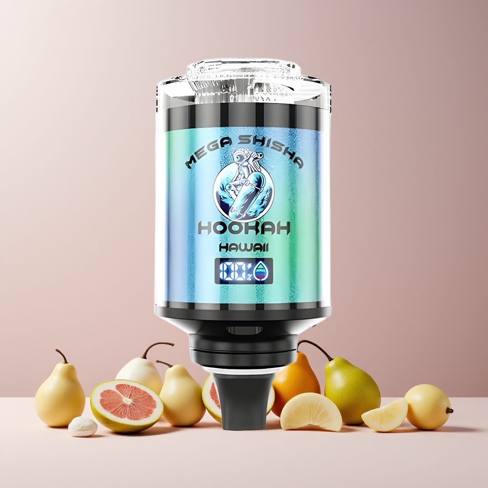 JNR Mega Shisha Hookah Desktop Compatibilité France Grossiste - 100 000 Puffs, 60ml Capacité, Écran Intelligent, Batterie 2200mAh