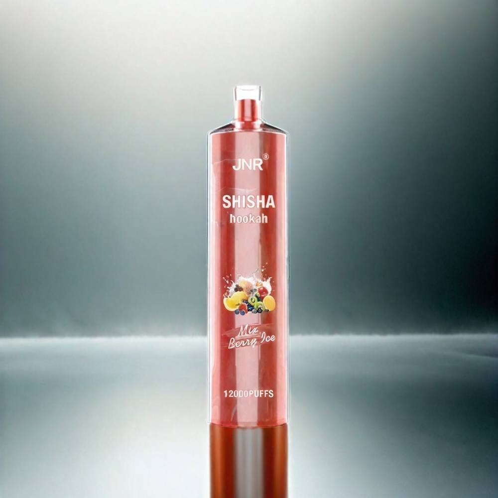 Jnr Shisha Hookah 12000 Puffs France Grosiste - 24 ml 0,6 ohm Mesh Glace aux Baies