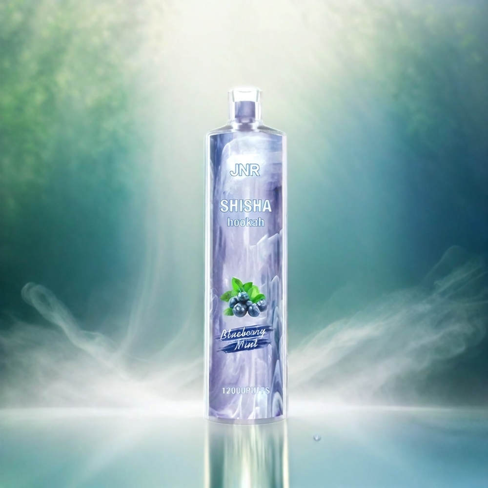 Jnr Shisha Hookah 12000 Puffs France Grosiste - 24 ml 0,6 ohm Mesh Menthe Bleue