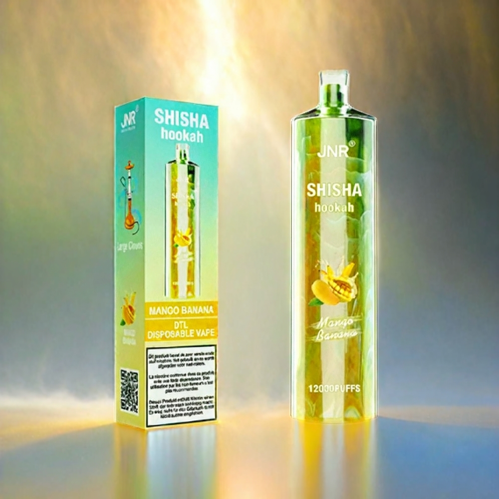 Jnr Shisha Hookah 12000 Puffs France Grosiste AVEC 24ml e-liquide, 750mAh Batterie et Type-C Mango Banane