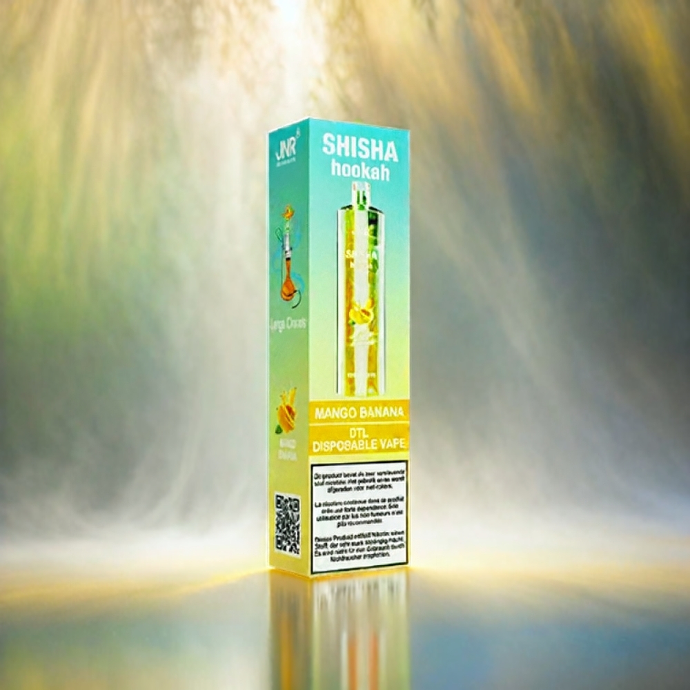 Jnr Shisha Hookah 12000 Puffs France Grosiste AVEC 24ml e-liquide, 750mAh Batterie et Type-C Mango Banane