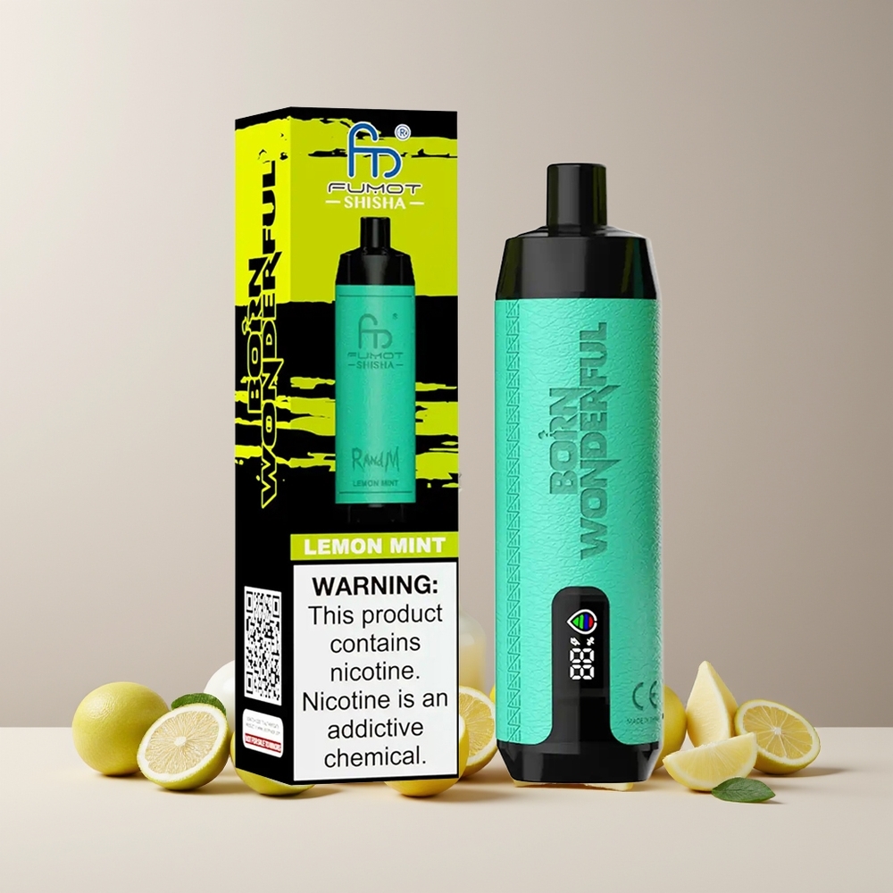 RandM Fumot Shicha 10000 Puffs France grossiste Disposable Vape Citron Menthe avec LED, 18ml et Batterie 850 mAh