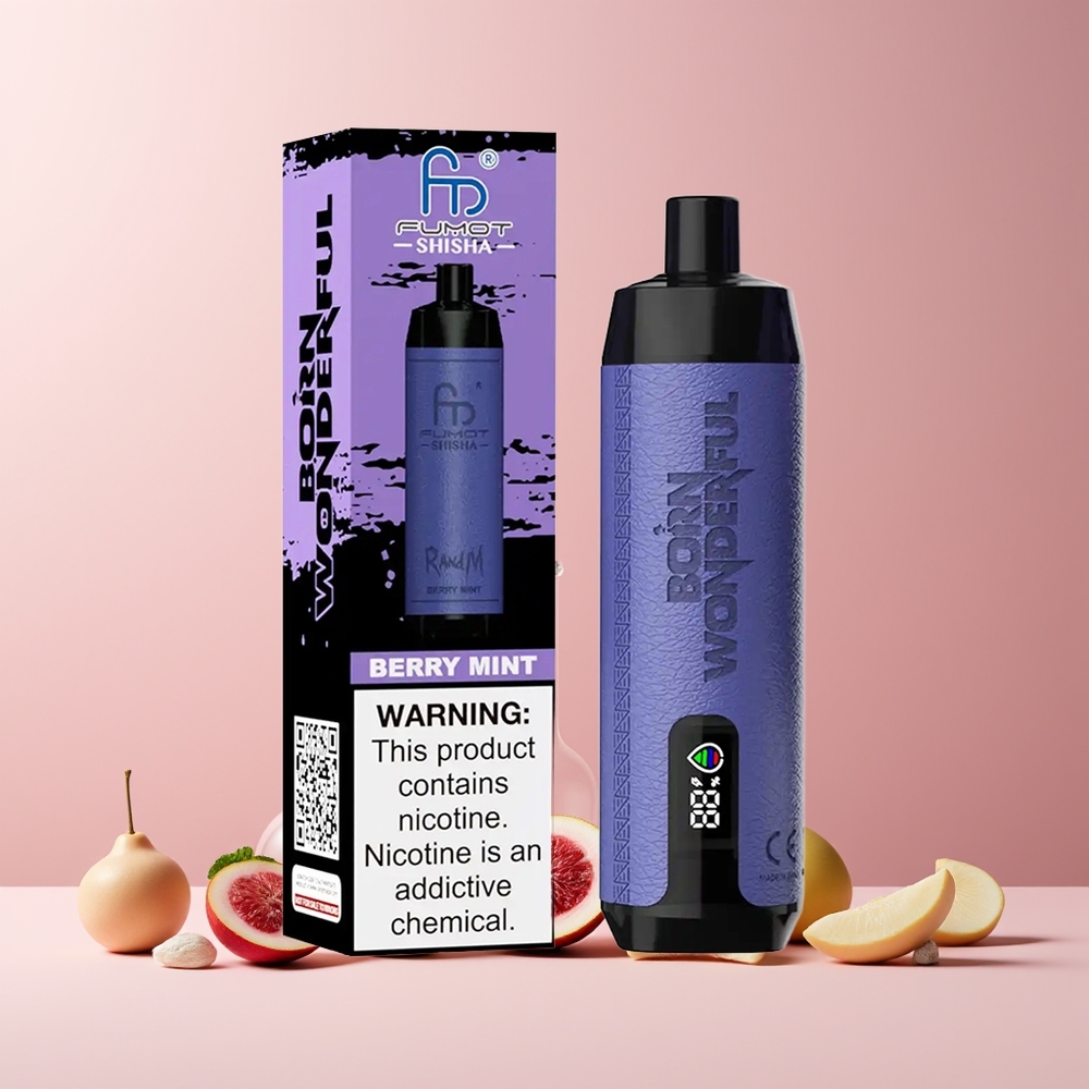 RandM Fumot Shisha 10000 Puffs France Grossiste Disposable Vape Menthe Baies avec indicateur LED, batterie 850 mAh et 18ml e-liquide prérempli