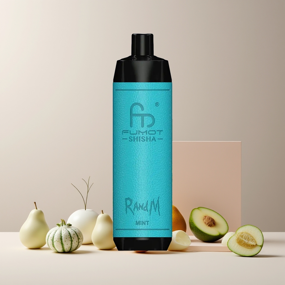 RandM Fumot Shisha 10000 Puffs France Grossiste - Dispositif Jetable avec Indicateur LED, 18ml E-Liquide Prérempli et Batterie 850 mAh (Menthe)