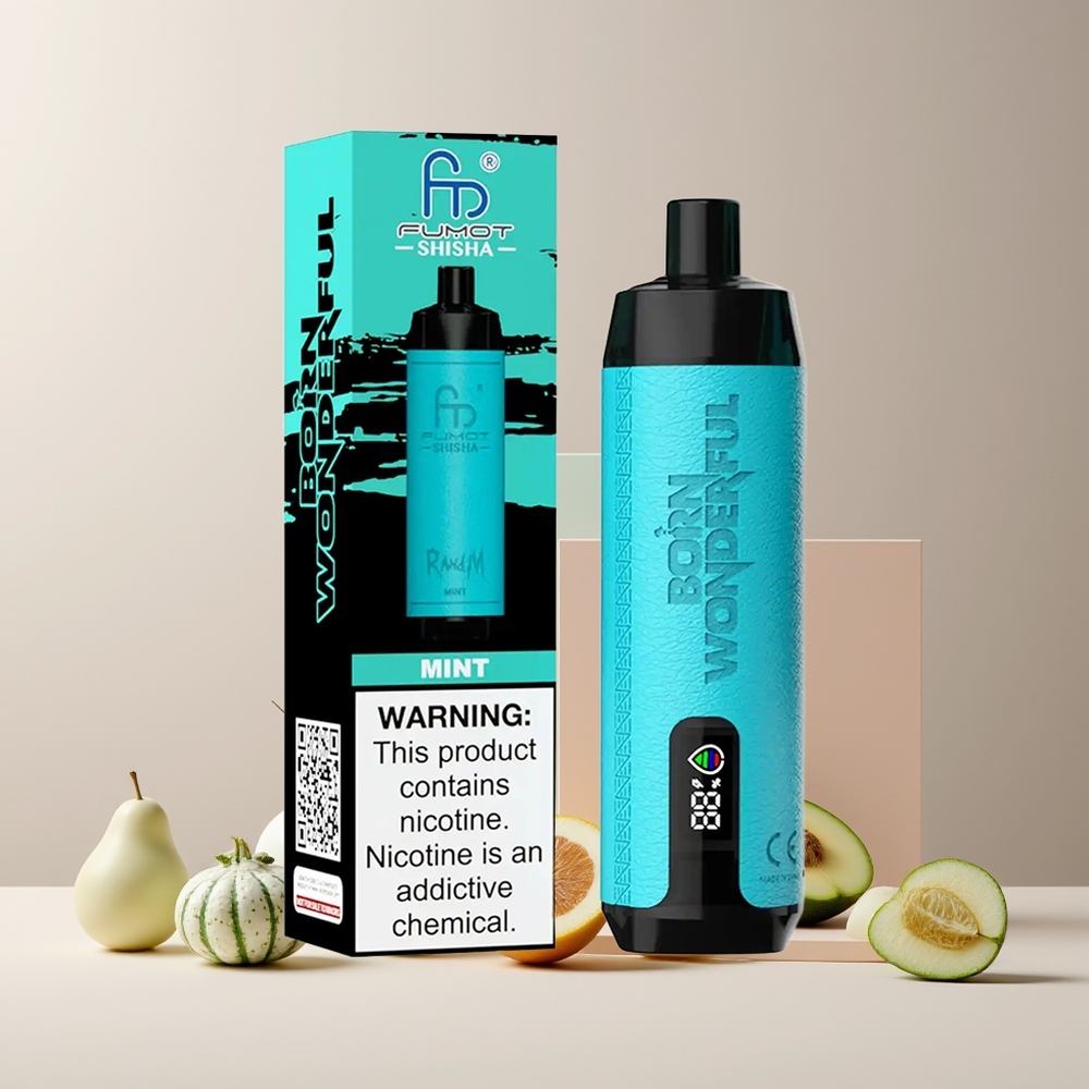 RandM Fumot Shisha 10000 Puffs France Grossiste - Dispositif Jetable avec Indicateur LED, 18ml E-Liquide Prérempli et Batterie 850 mAh (Menthe)