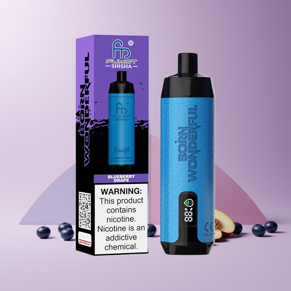 RandM Fumot Shisha 10000 Puffs France Grossiste - Dispositif de Vape Jetable avec LED, Batterie 850 mAh, E-liquide 18ml (Myrtille Raisin)