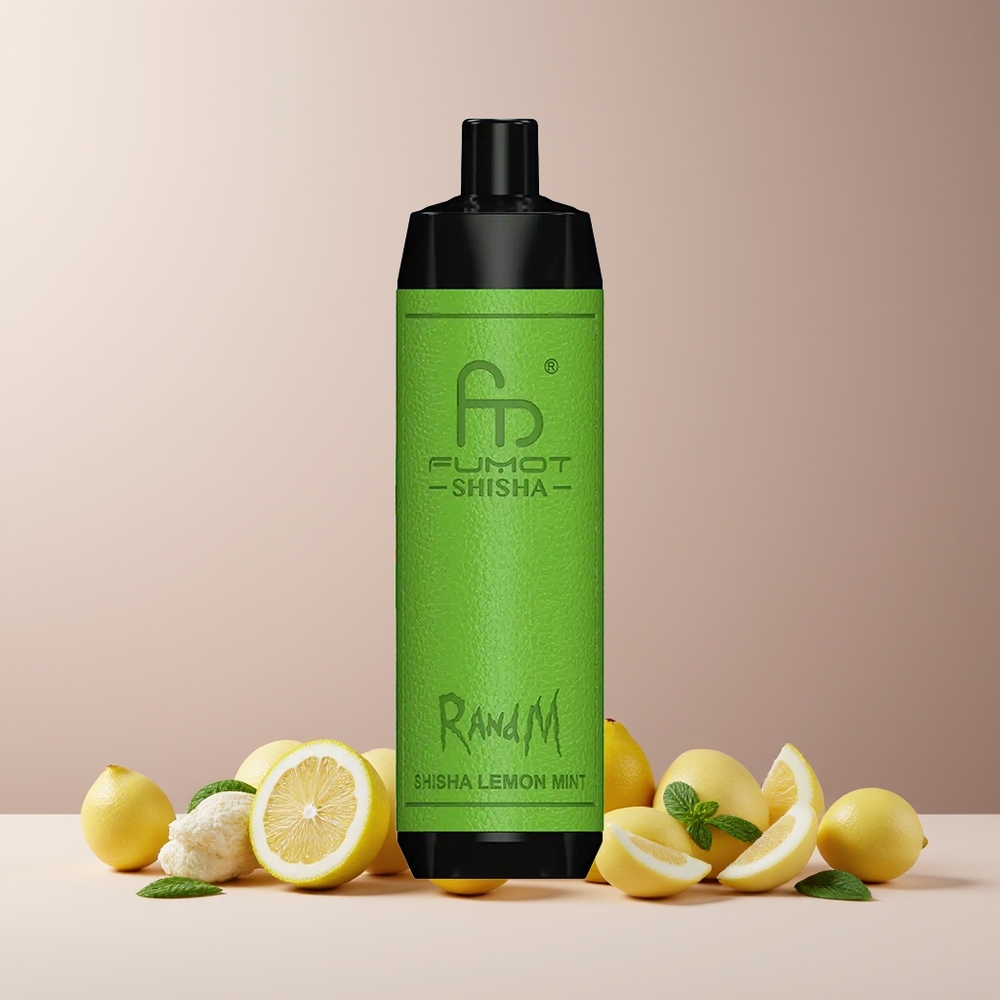 RandM Fumot Shisha 10000 Puffs France grossiste - Dispositif de Vape Jetable avec Indicateur LED, 18ml de E-liquide Prérempli, Batterie 850 mAh, Port Type-C, 0.5% Nicotine, Saveur Citron Menthe
