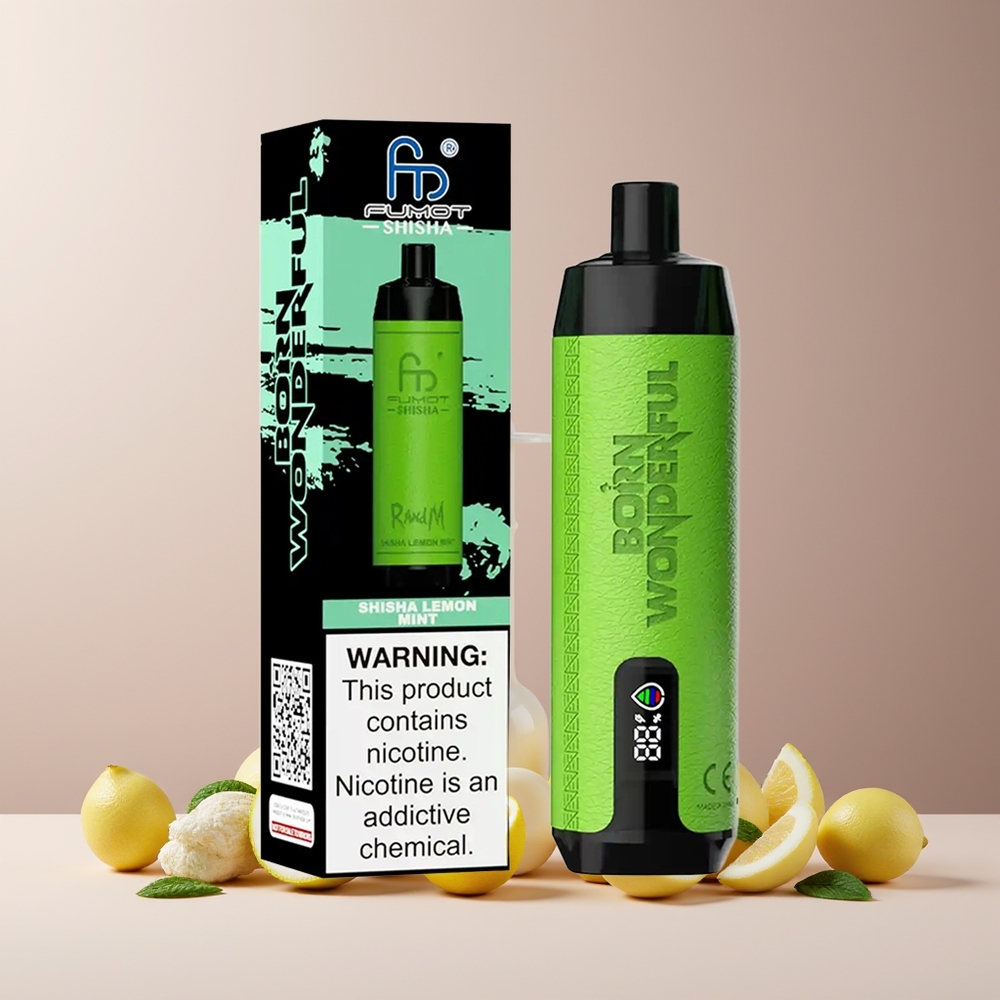 RandM Fumot Shisha 10000 Puffs France grossiste - Dispositif de Vape Jetable avec Indicateur LED, 18ml de E-liquide Prérempli, Batterie 850 mAh, Port Type-C, 0.5% Nicotine, Saveur Citron Menthe