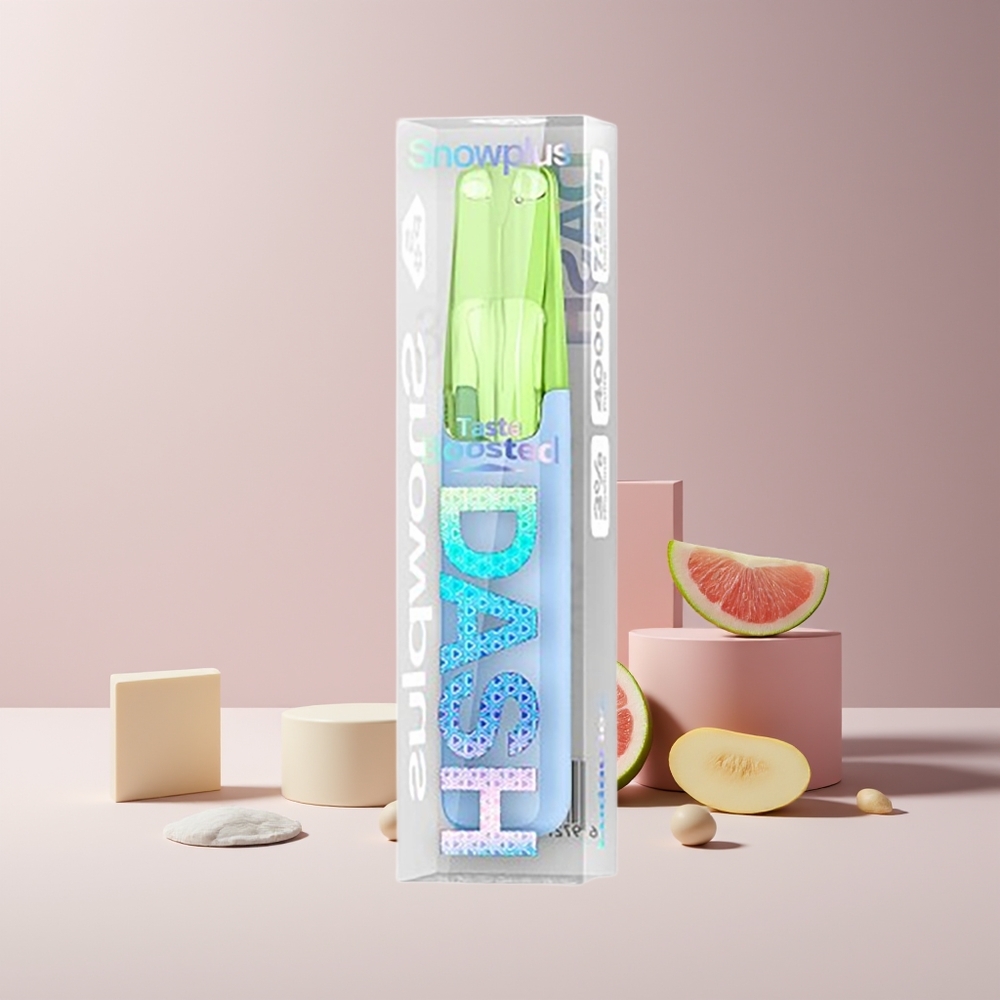 Snowplus Dash 4000 Puffs Disposable Device France Grossiste - Céramique 530 mAh 7,5 ml Ludou Glace