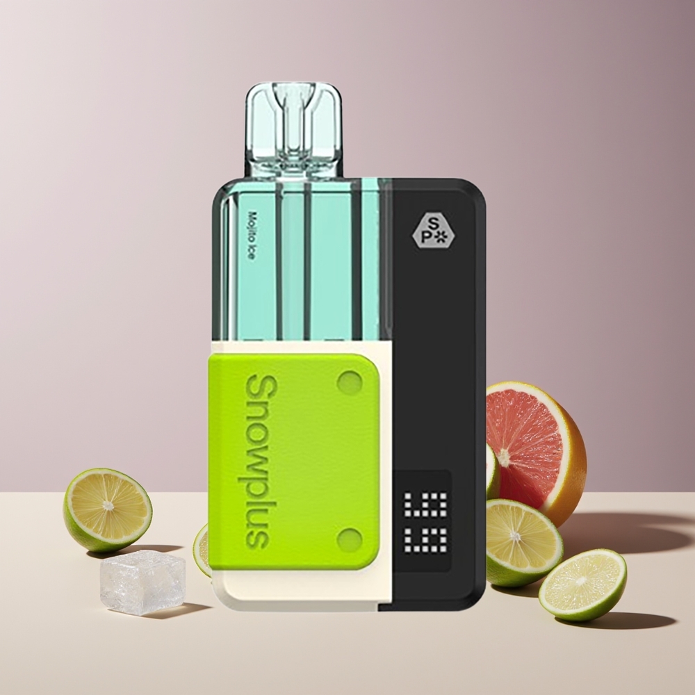 Snowplus Swift 5000 Puffs Kit Prérempli France Grossiste - Double Mesh, 1000 mAh, 2+10 ml, Mojito Glacé