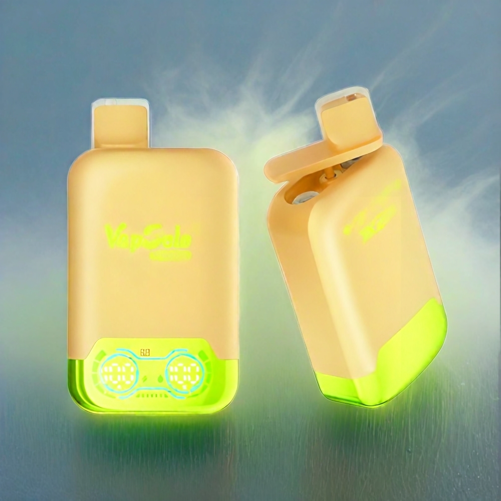Vapsolo Twins 20000 Puffs France Grosiste - Double Réservoir 40ml Citron Vert & Pastèque Glacée