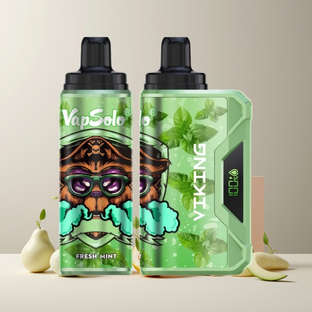 VapSolo VIKING 12000 Puffs France Grossiste Disposable Vape 22ml Menthe Fraîche