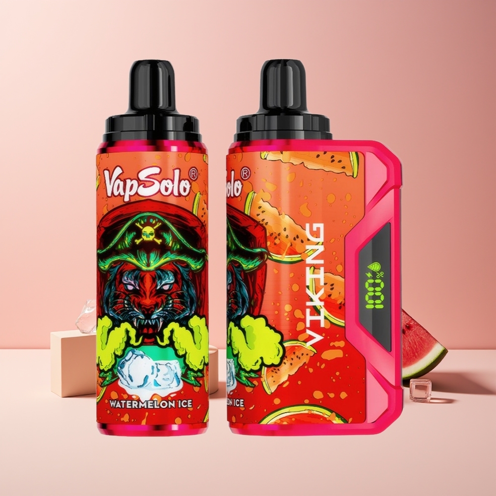 VapSolo VIKING 12000 Puffs France Grossiste Disposable Vape Pastèque Glacée avec Affichage LED et Port Type-C