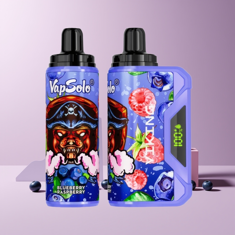 VapSolo VIKING 12000 Puffs France grossiste - 22ml, 20/50 mg/ml, Affichage LED, Port Type-C, Myrtille Framboise
