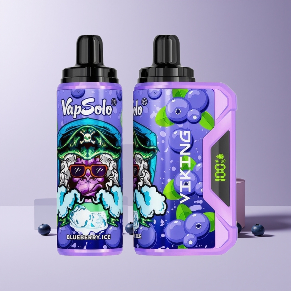 VapSolo VIKING 12000 Puffs France grossiste Disposable Vape 22ml Myrtille avec Affichage LED et Port Type-C