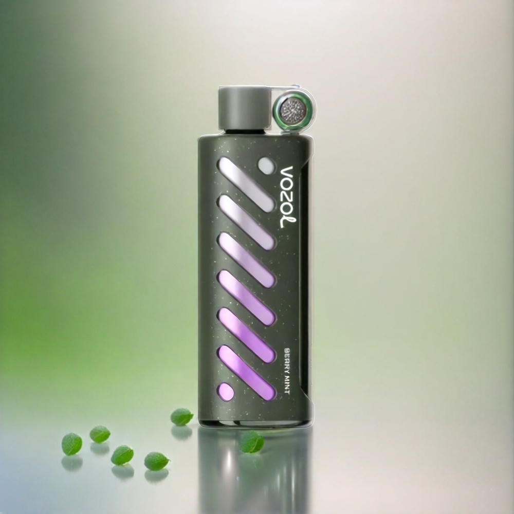 Vozol Gear Shisha 25000 Puffs France Grosiste - 30 Saveurs Délicieus, Double Mesh Double Modes, 1000mAh, Menthe Baie