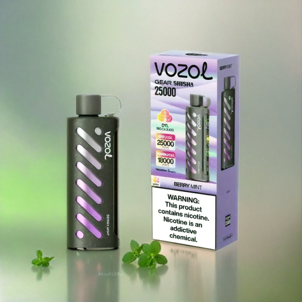 Vozol Gear Shisha 25000 Puffs France Grosiste - 30 Saveurs Délicieus, Double Mesh Double Modes, 1000mAh, Menthe Baie