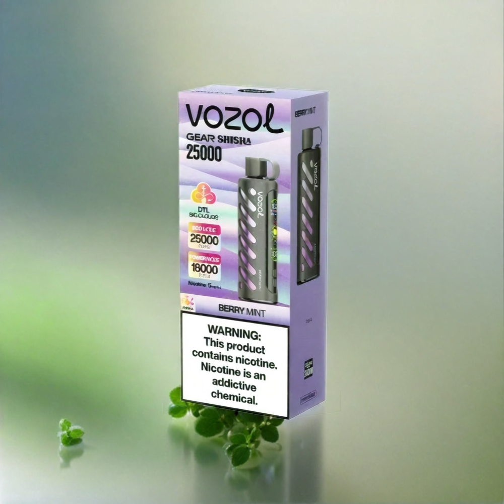 Vozol Gear Shisha 25000 Puffs France Grosiste - 30 Saveurs Délicieus, Double Mesh Double Modes, 1000mAh, Menthe Baie